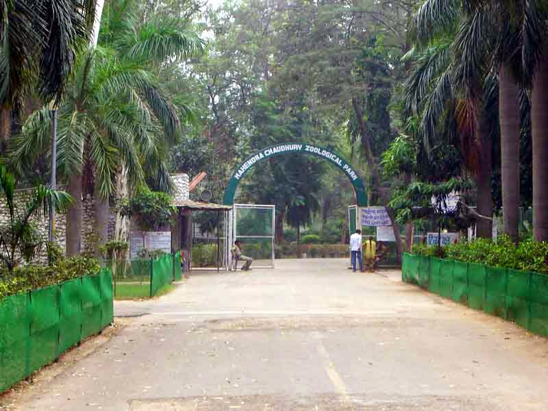 ChattBir Zoo Zoological Park in Punjab