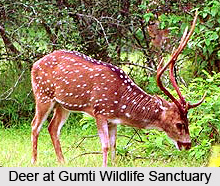 Wildlife Sanctuaries in Tripura