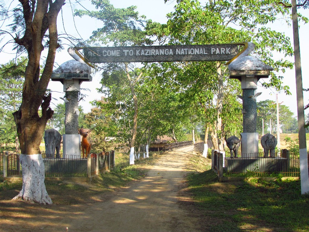 Wildlife Parks in Assam