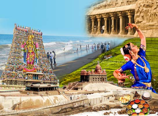 Tamil Nadu – The Cradle of Dravidian Civilization