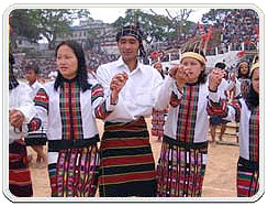 Popular Cultural Festivals