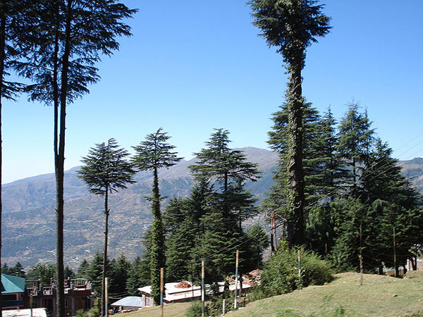 Places to Visit in Jammu & Kashmir