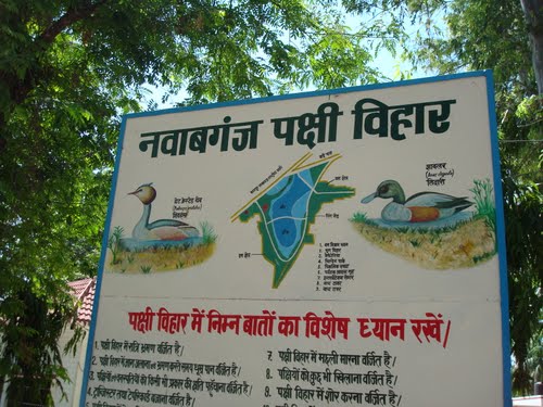 Wildlife Sanctuary in Uttar Pradesh