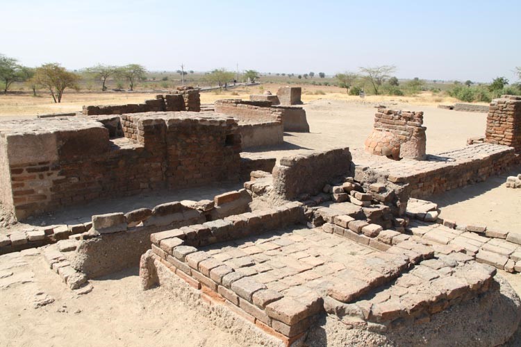 Harappan Civilization Archaeological Tour