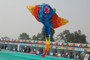 Giant kites