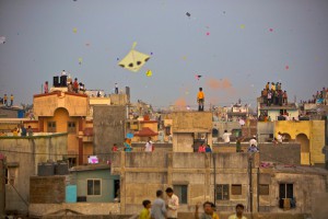 Kites Celebrate people