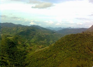Araku Valley Scenic View Visakhapatnam District