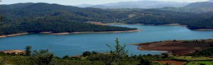 Emerald Lake Nilgiris