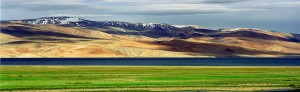 Karakoram West Tibetan Plateau alpine steppe
