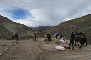 Leh Valley Ladakh 5