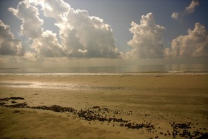 Mudflat and clouds in Sundarbans
