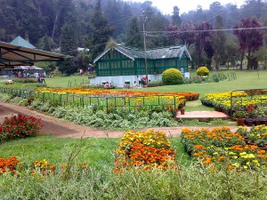 Ooty botanical garden