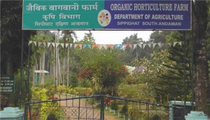 Sippiighat Agricultural Farm at Andaman