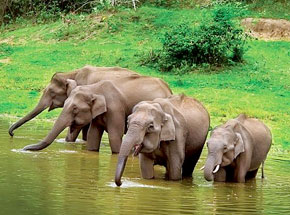 coringa wildlife sanctuary tours1