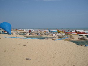 mypadu beach