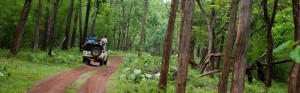 reserve forests in india