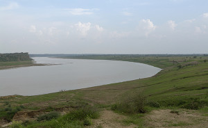 Chambal river near Dhaulpur India