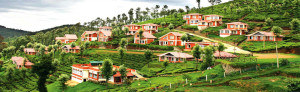 Ooty view