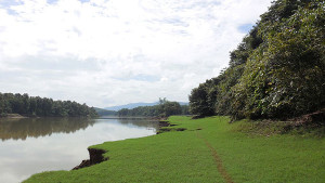 View of Periyar from Pappitta Bird Trial