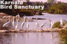 wildlife sanctuaries of maharashtra