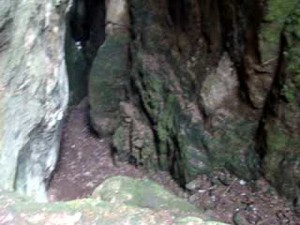 guna cave